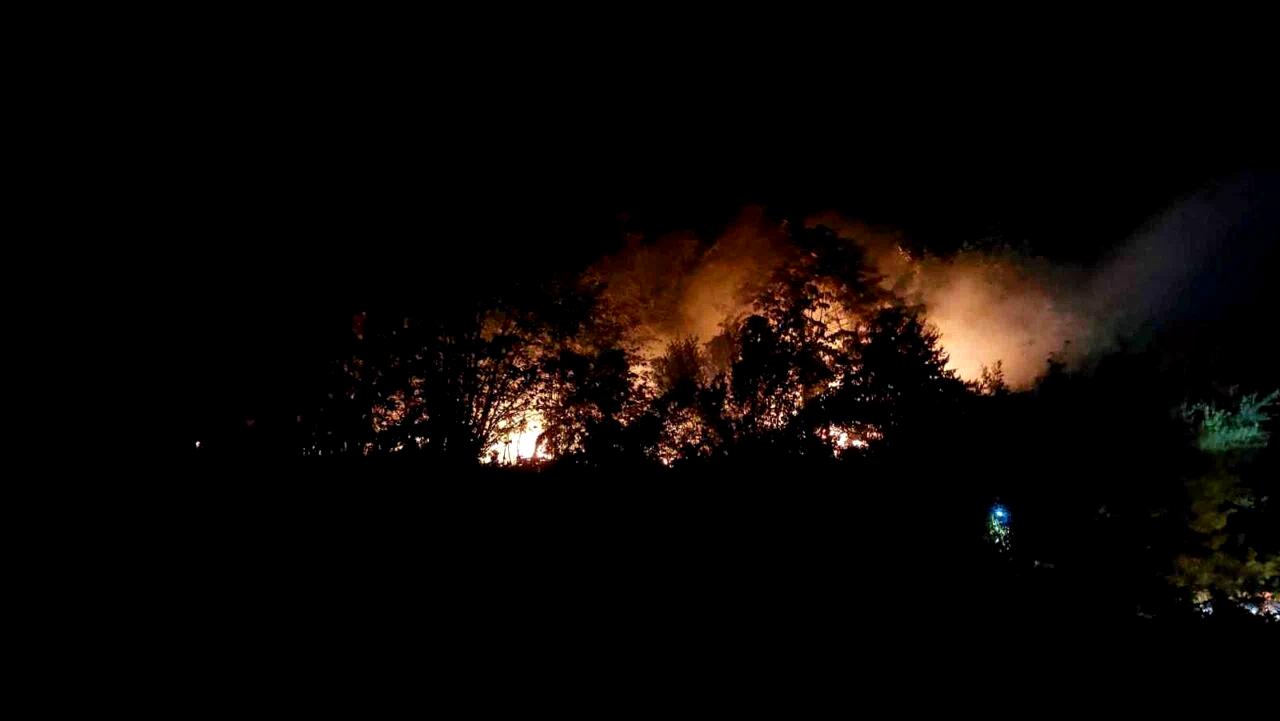 Sakarya’daki yangınla ilgili 1 kişi tutuklandı