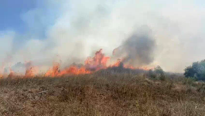 Sakarya Kaynarca’da makilik alanda yangın çıktı