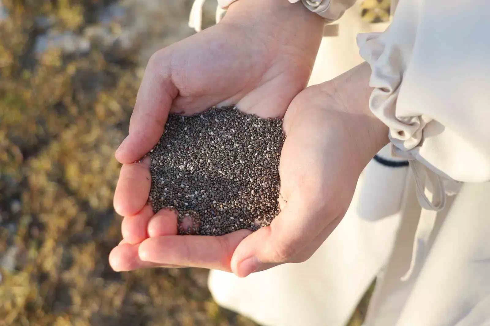 SBTÜ Öğretim Üyesi: Chia Tohumunun Sahurda Etkili Kullanımı