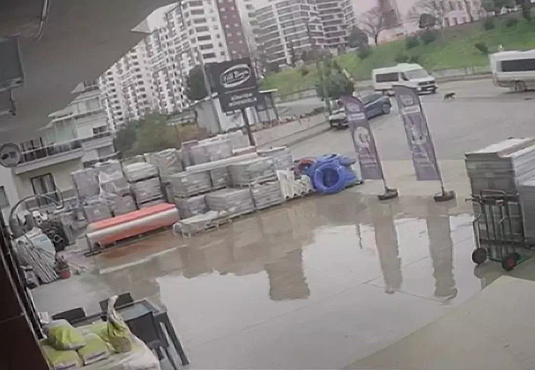 Servis Şoförü Sokak Köpeğine Çarparak Kaçtı!