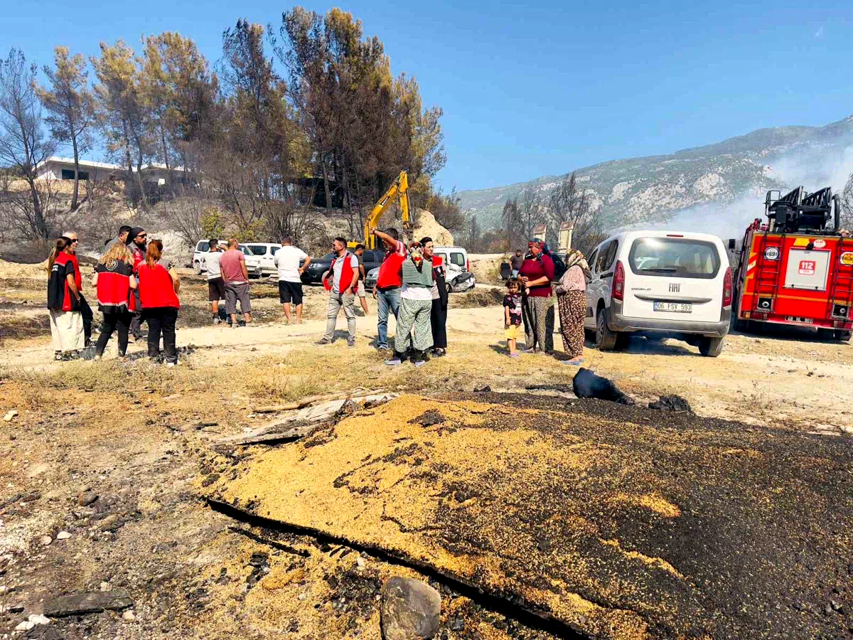 Seydikemer’de yangından etkilenen üreticiler yalnız bırakılmıyor