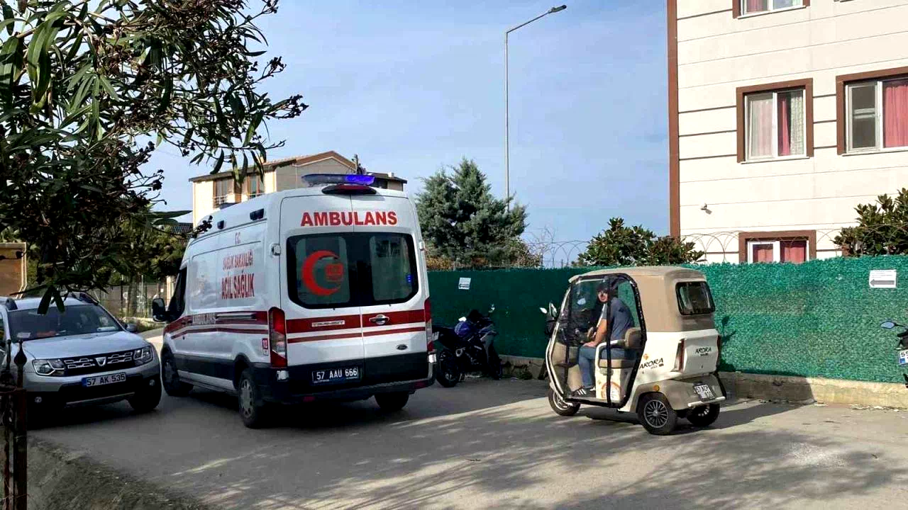 Sinop’ta ağaç budarken düşen vatandaş yaralandı