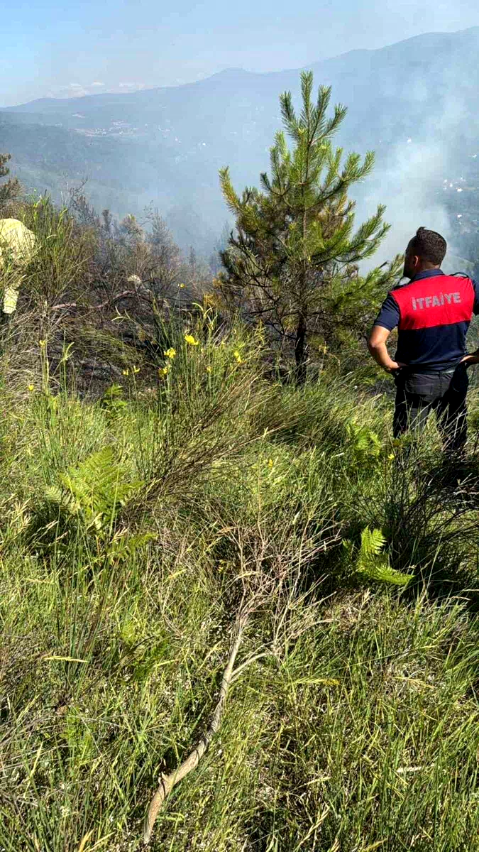 Sinop’ta çıkan orman yangını büyümeden söndürüldü