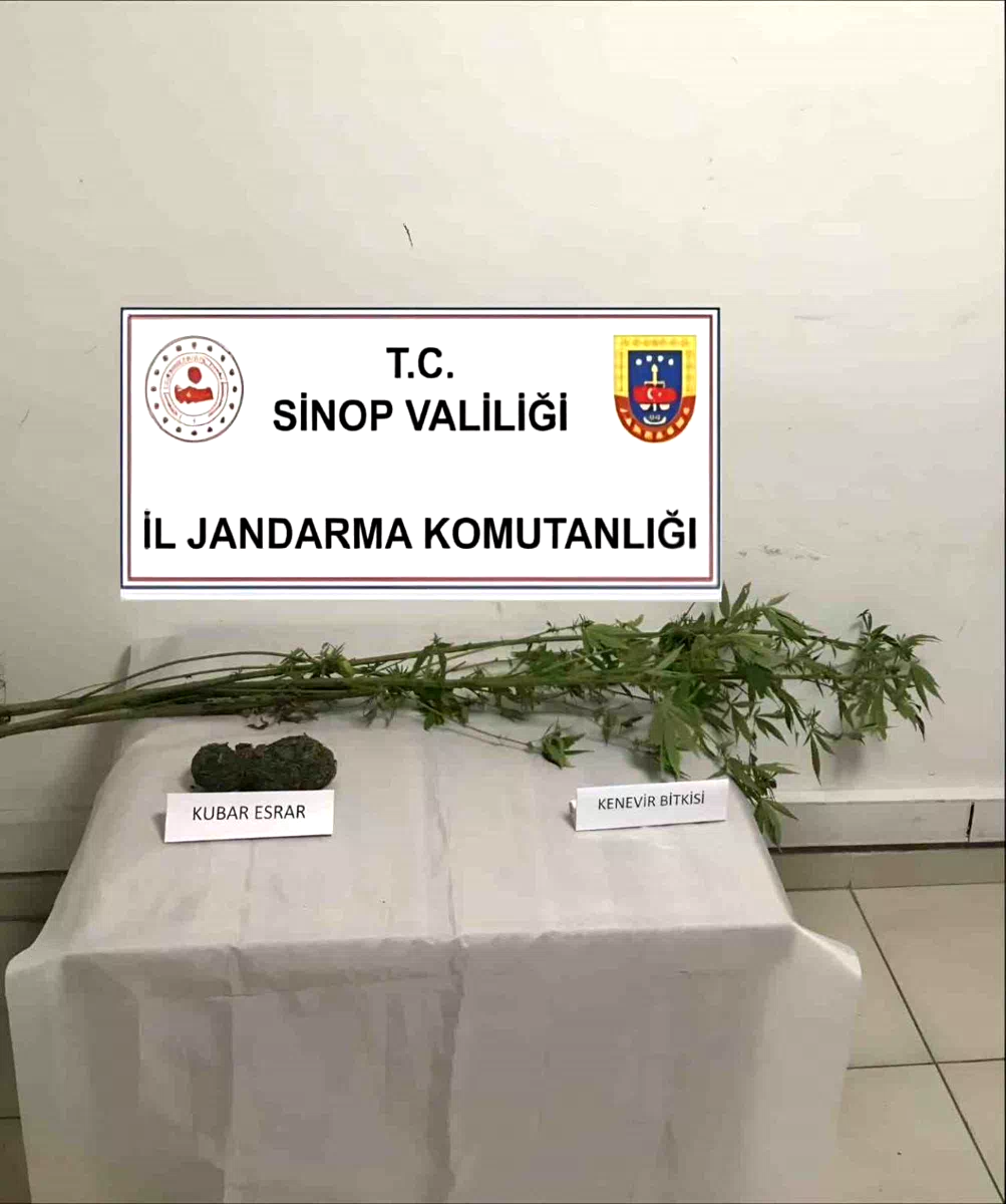 Sinop’ta kenevir ve kubar esrar ele geçirildi