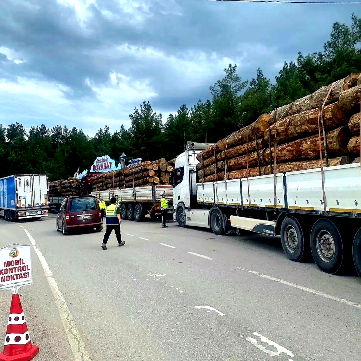 Sinop’ta orman emvali nakilleri denetimi