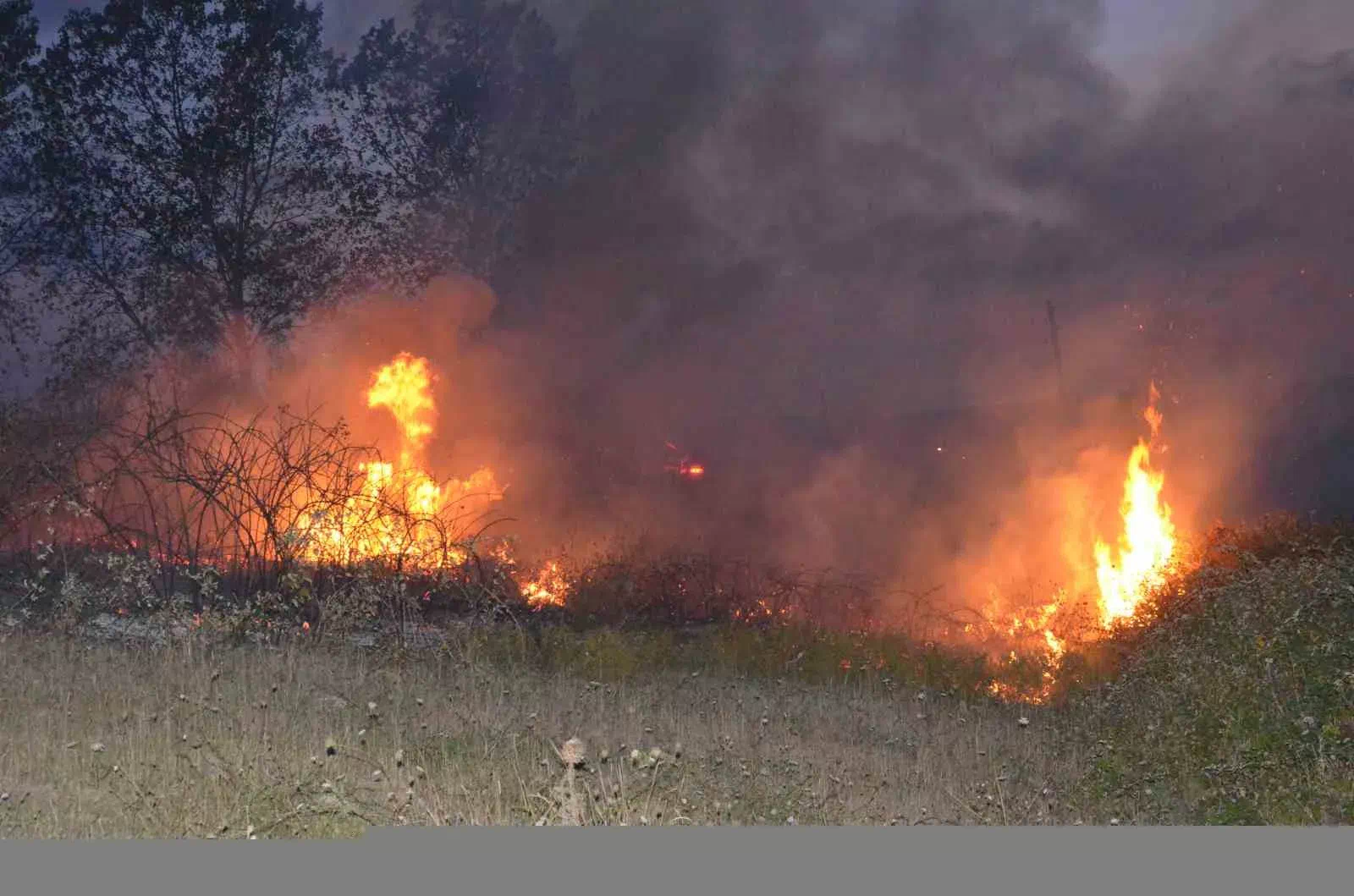 Sinop’ta orman yangını kısa sürede kontrol altına alındı.