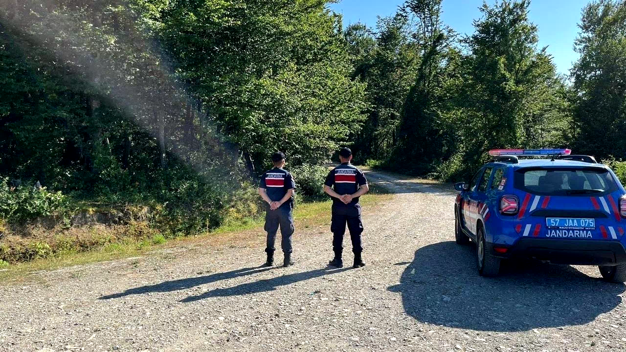 Sinop’ta ormanlık alanda ateş yakanlara ceza yağdı