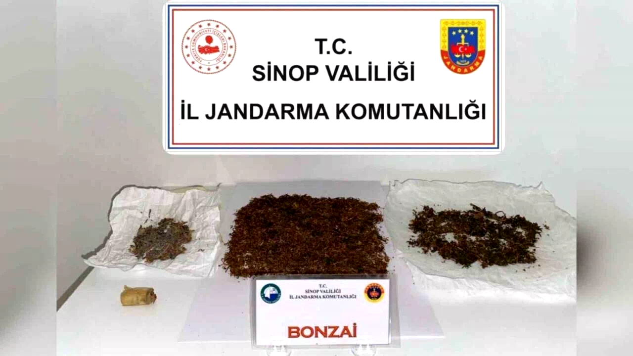 Sinop’ta zehir operasyonu