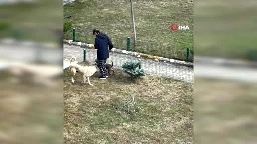 Site sakinleri Palandöken Kaymakamı’na sahip çıktı: "Kaymakama itibar suikastı yapılıyor"