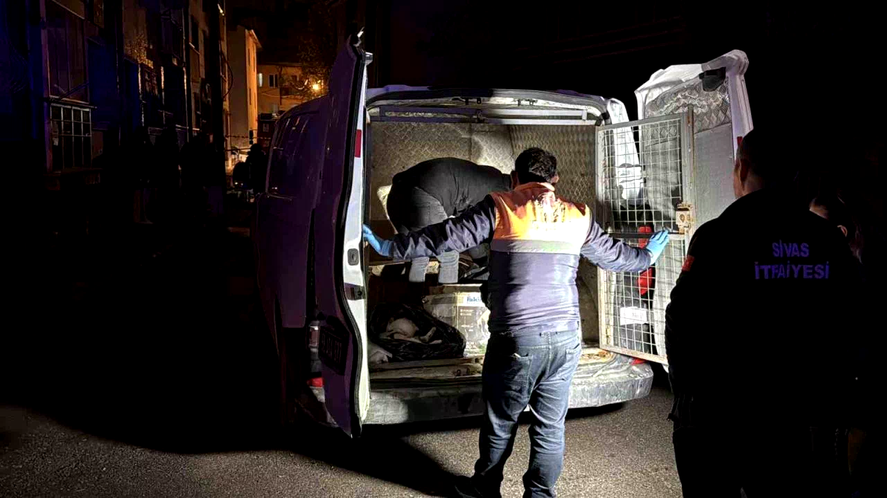 Sivas’ta 2 katlı evde çıkan yangında 26 kedi telef oldu