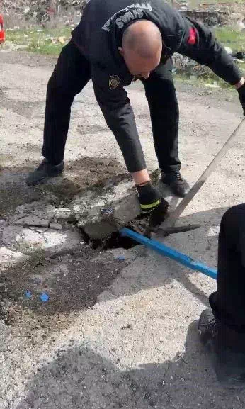 Sivas’ta Yavru Ördek Yağmur Suyu Tahliye Hattından Kurtarıldı