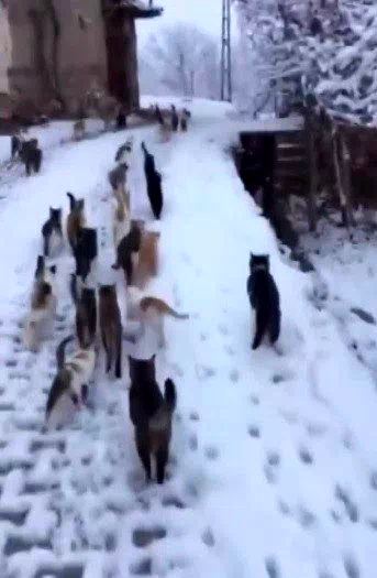 Soğuk kış günlerinde yürek ısıtan görüntüler Erzincan’dan