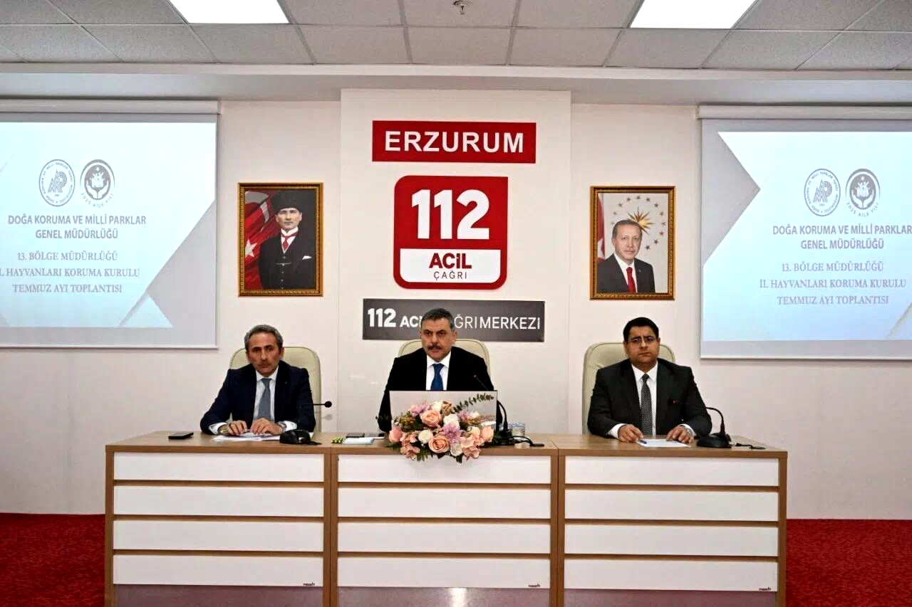 Sokak hayvanları mercek altında