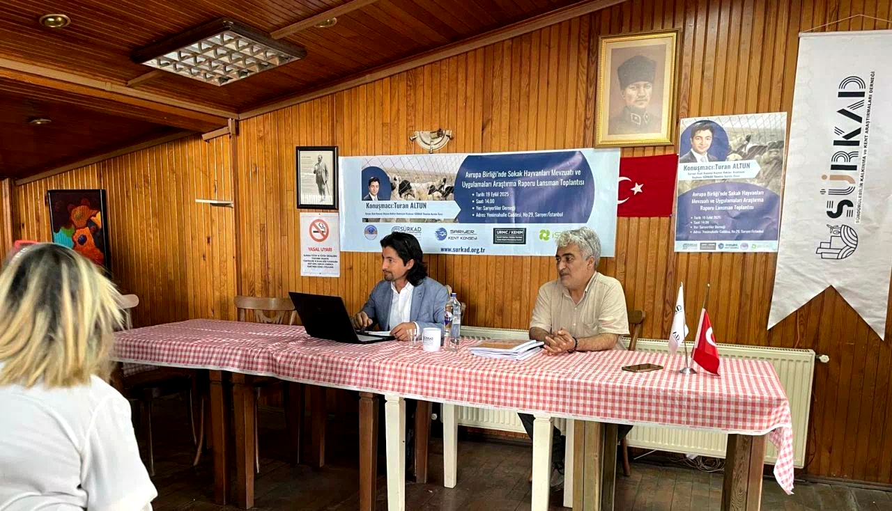 SÜRKAD’dan sokak hayvanları mevzuatı ve uygulamaları raporu