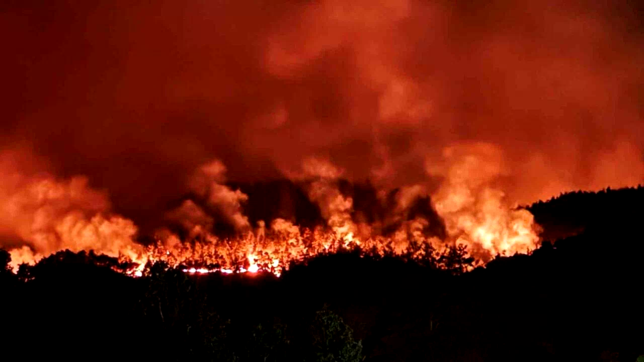Taraklı’daki orman yangınına ilişkin gözaltına alınanlar serbest bırakıldı