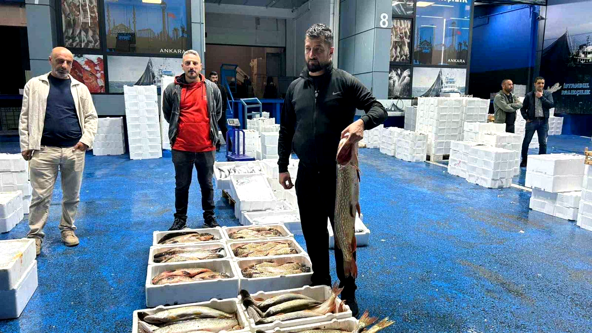 Tarım ve Orman Bakanlığı Ankara İl Müdürü Dallı, Ankara Balık Hali’ni ziyaret etti
