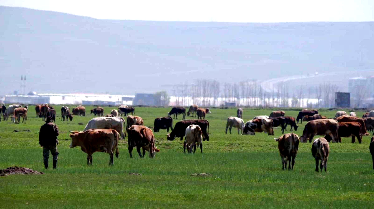 Tarımda üreticilere destekleme çağrısı