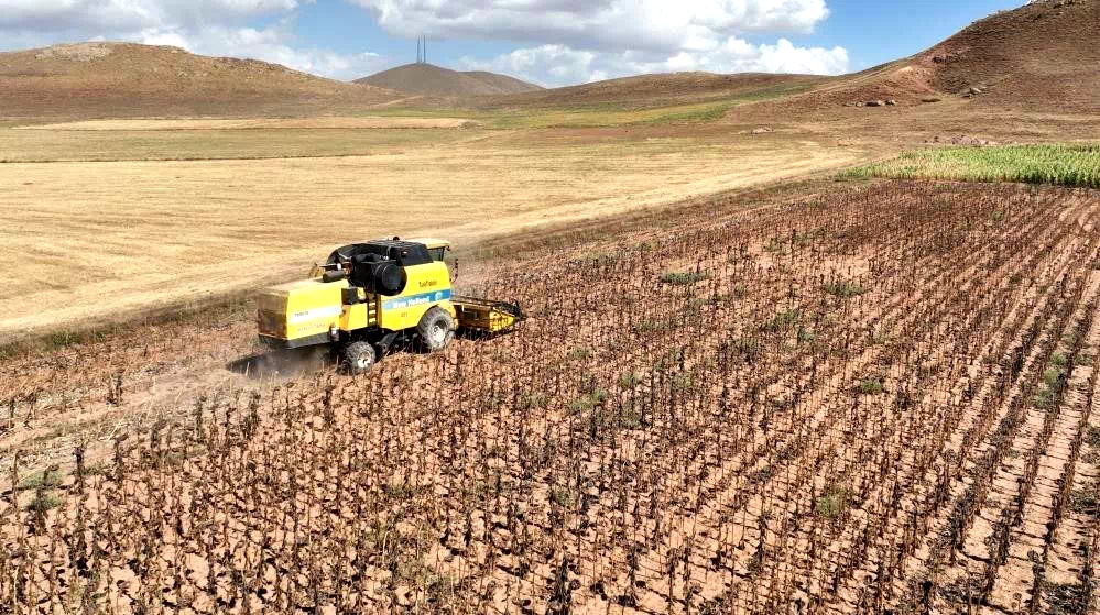 Tarımsal girdi fiyatları yıllık yüzde 33,66 arttı
