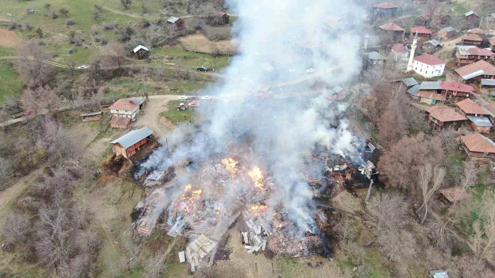 Taşköprü ilçesinde çıkan yangında 3 ev, 6 ahır ve 9 samanlık kullanılamaz hale geldi.