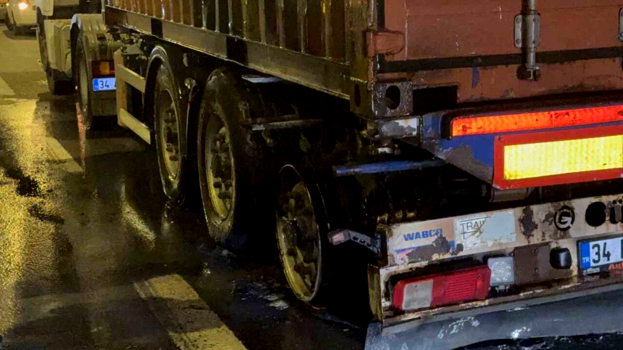 TEM’de seyir halinde olan tırın lastikleri alev aldı