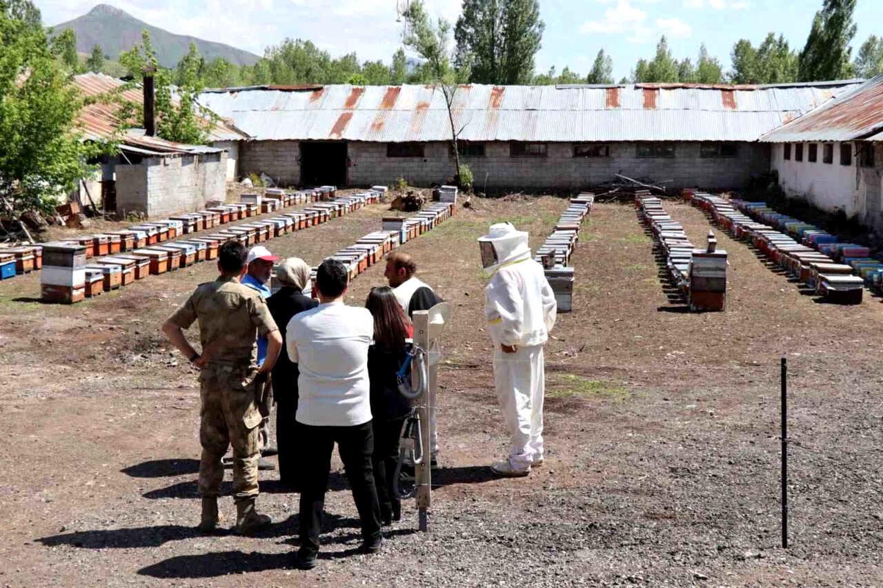 Tercan’da arıcılık ve seracılık faaliyetlerine yakın takip