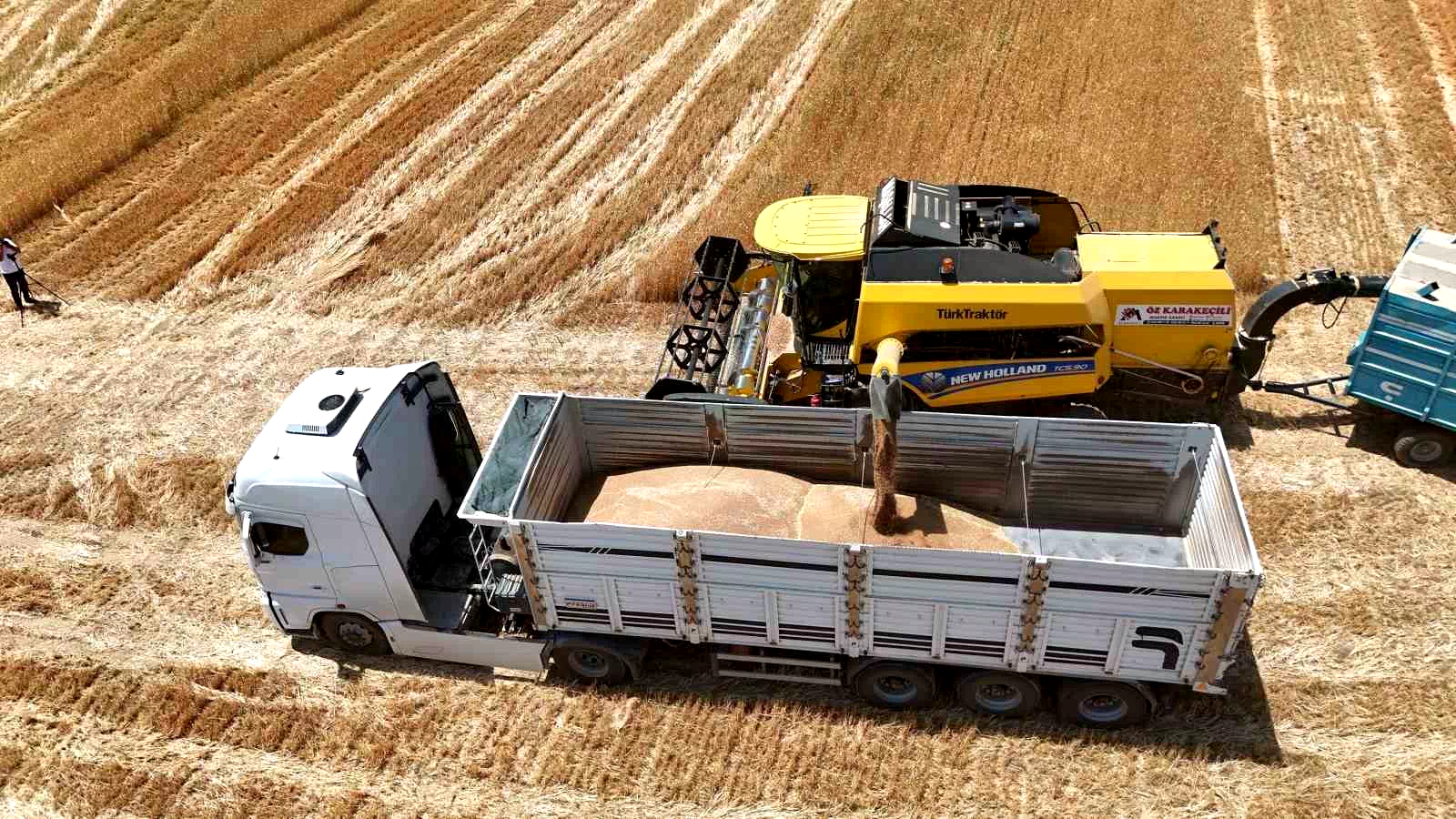 Tercan’da hububat hasadı başladı, çiftçinin emeği biçerdöverlerle tarladan toplandı