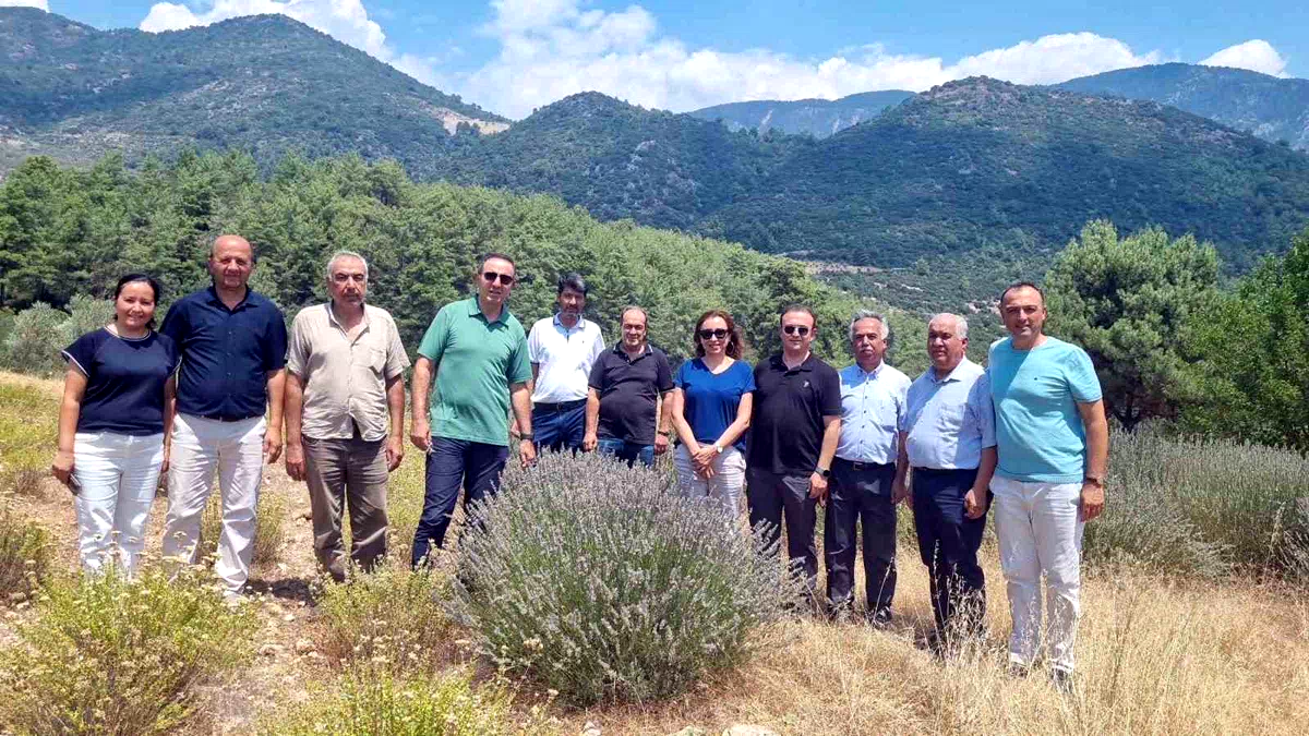 Tıbbi ve Aromatik Bitkileri yerinde inceleme