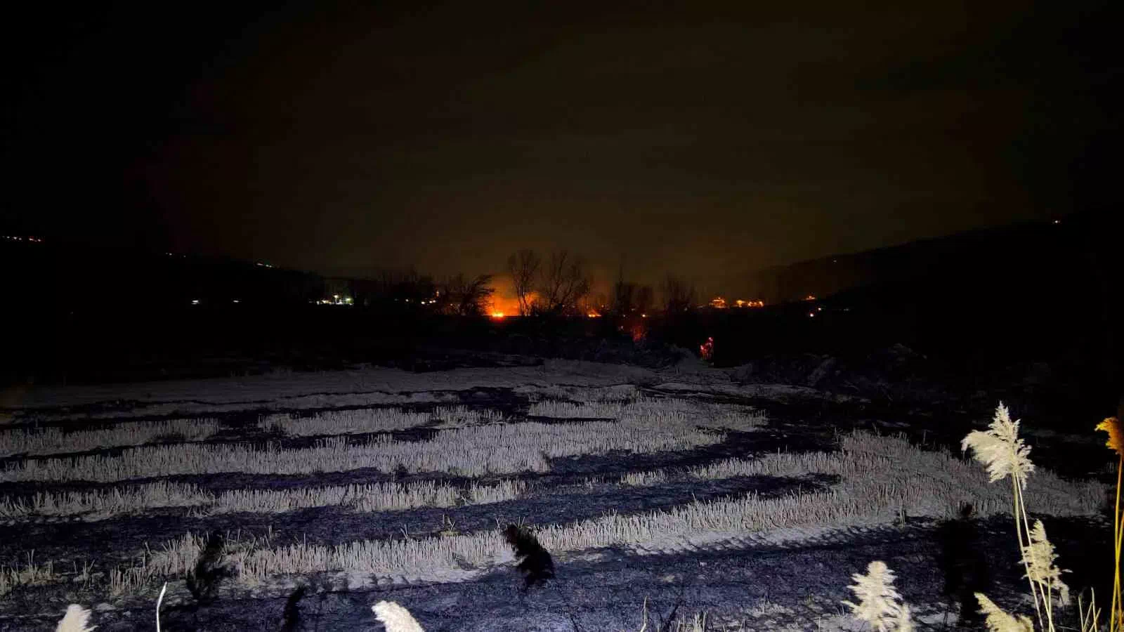 Tosya’da 150 Dönüm Tarım Arazisi Yangında Zarar Gördü