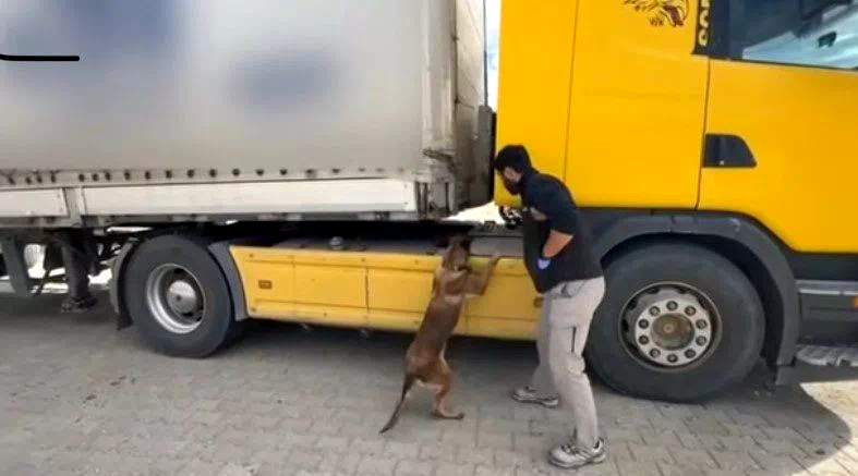 Tosya’da tıra zulalanmış uyuşturucu ele geçirildi: 1 tutuklama