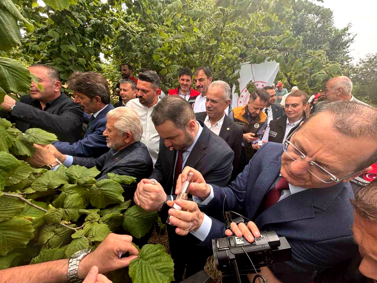Trabzon’da kahverengi kokarcaya karşı doğal ordu göreve başladı