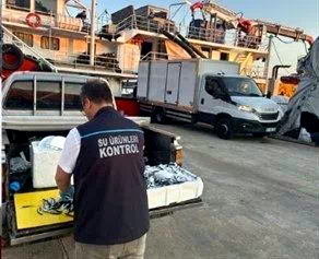 Trabzon’da usulsüz hamsi çıkışına 37 bin TL ceza