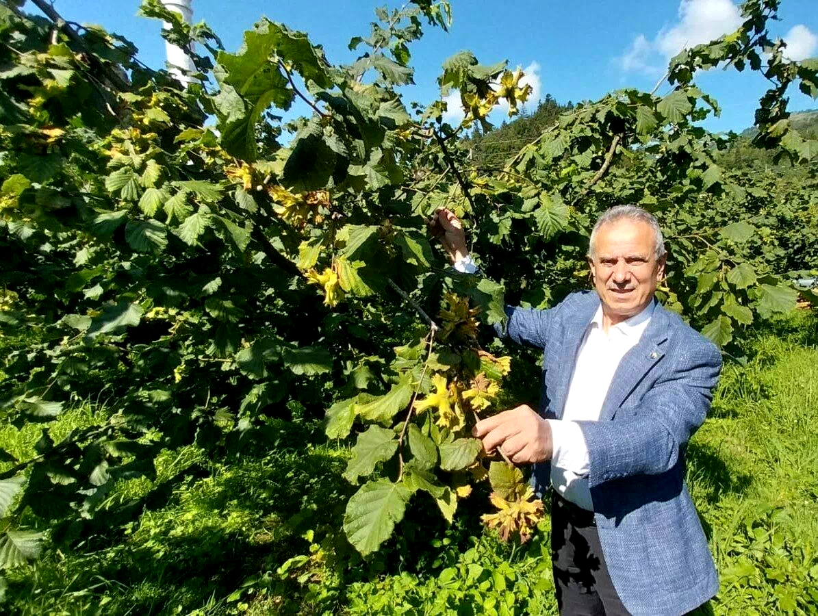 Trabzon Ticaret Borsası Başkanı Ergan: