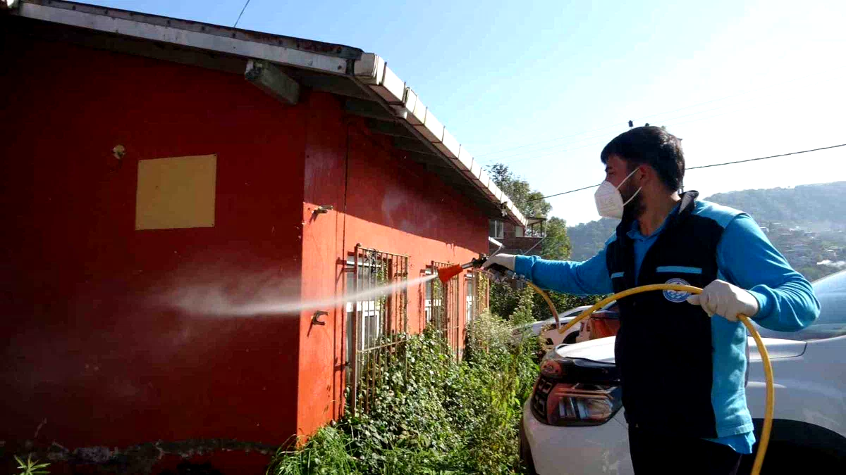 Trabzon’da kokarcaya karşı seferberlik sonuç veriyor, kokarca popülasyonu azalıyor