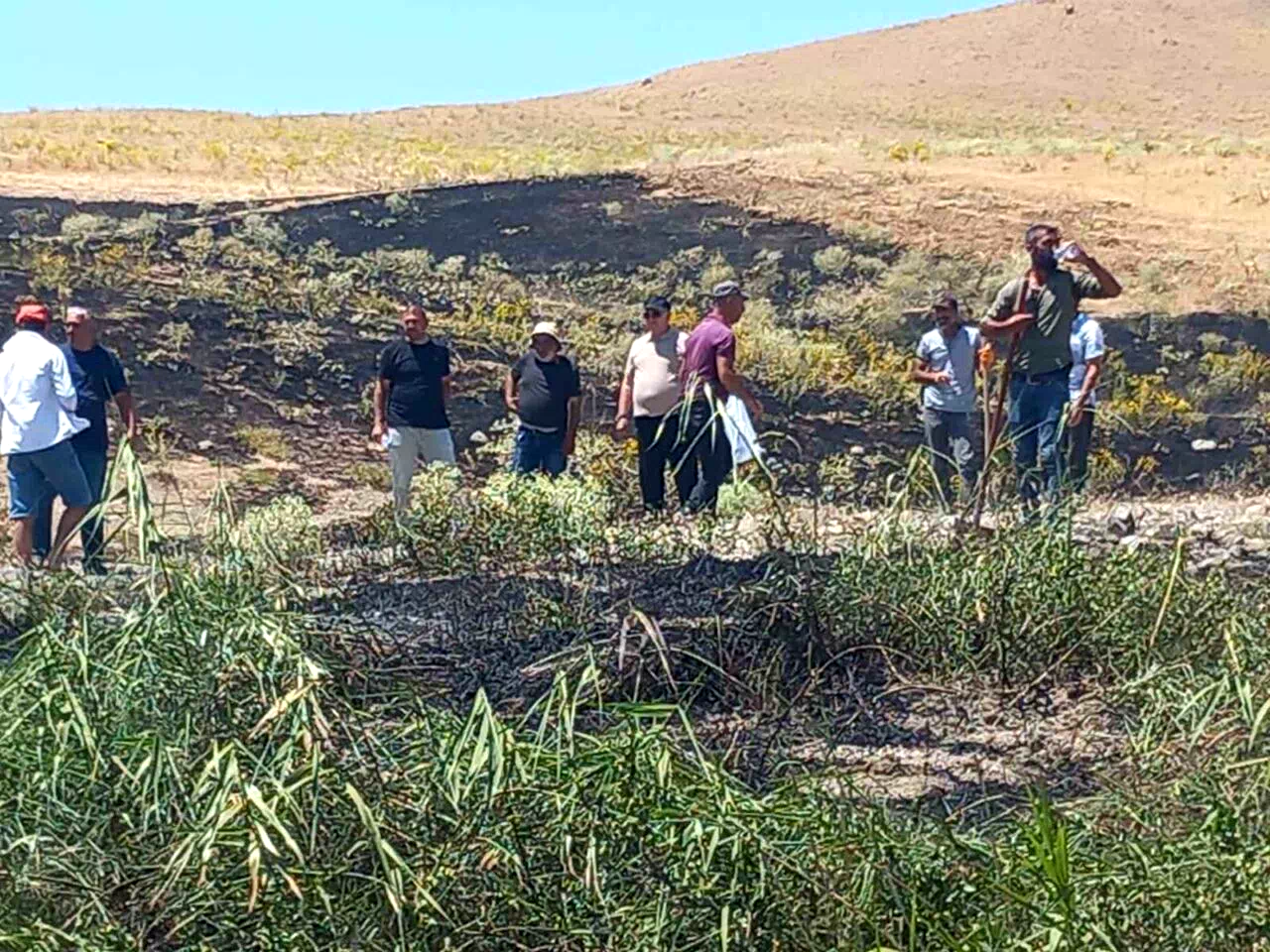 Tunceli’de ekili alanda çıkan yangın, zamanında müdahaleyle söndürüldü