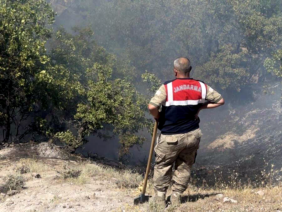 Tunceli’de otluk ve ormanlık alanda yangın