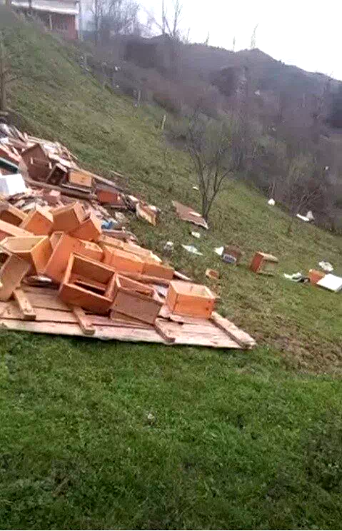Türkeli’de fırtına arıcılığı vurdu: Onlarca kovan zarar gördü