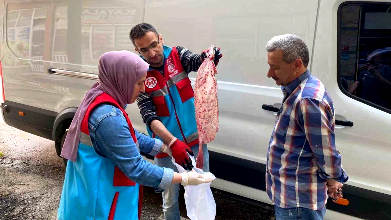 Türkeli’de kaçak avlanan 363 kalkan balığı vatandaşa dağıtıldı