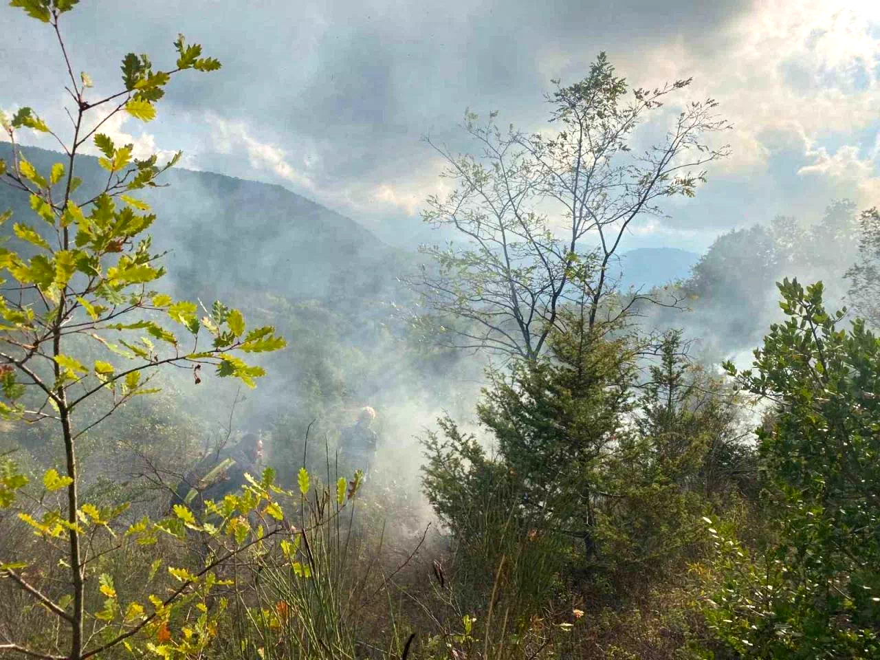 Türkeli’de otluk alanda çıkan yangın söndürüldü