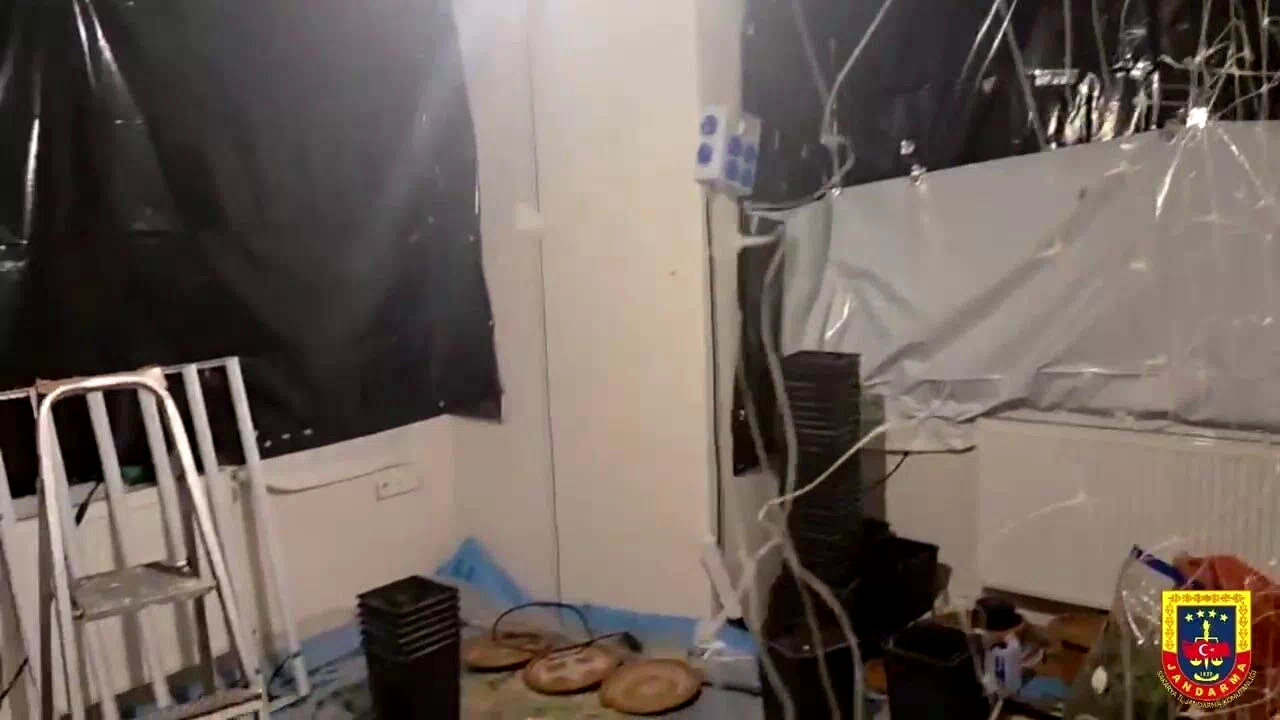 Uyuşturucu serasına çevrilen eve jandarma baskını