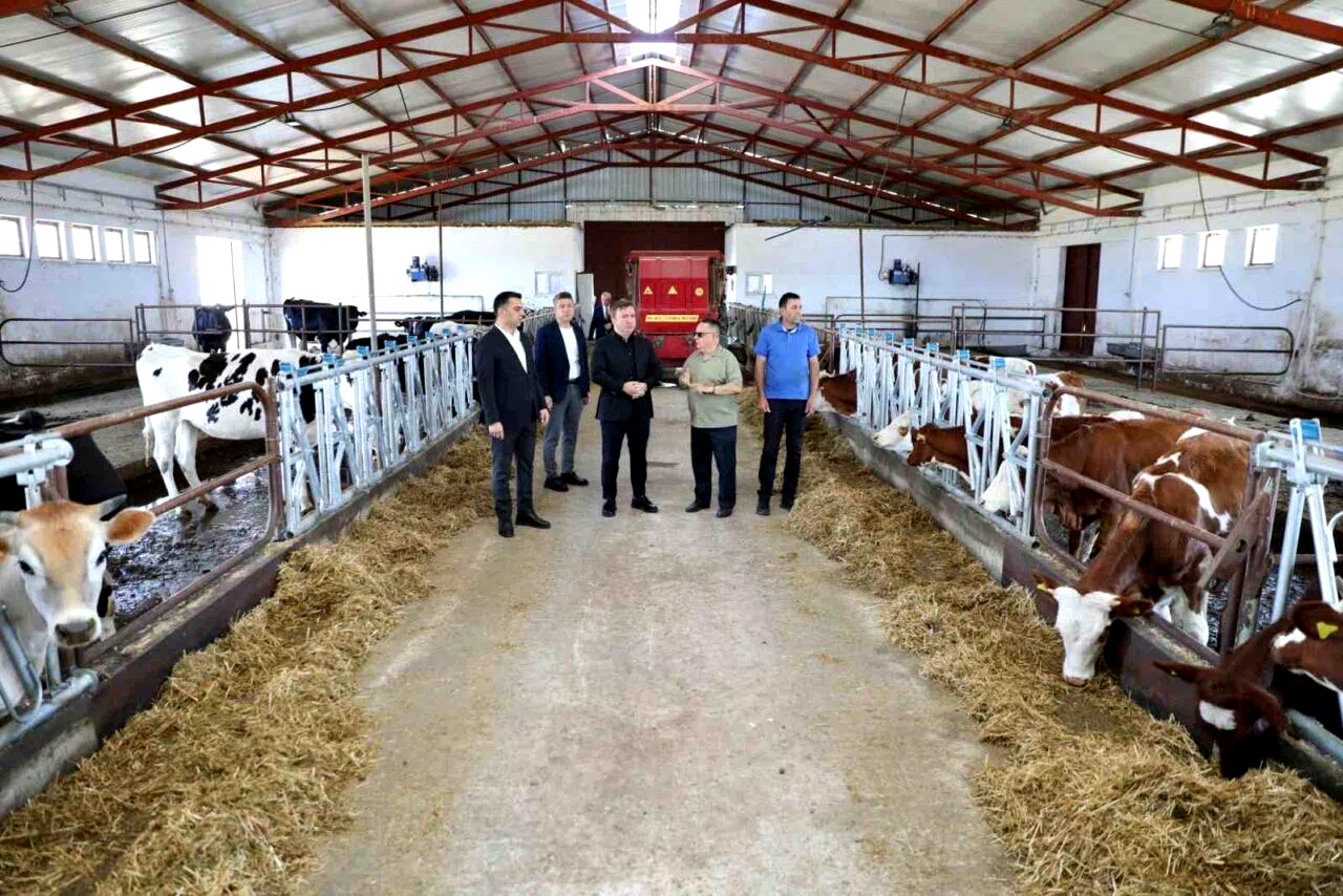 Vali Aydoğdu Düve Üretim Merkezi’nde incelemelerde bulundu