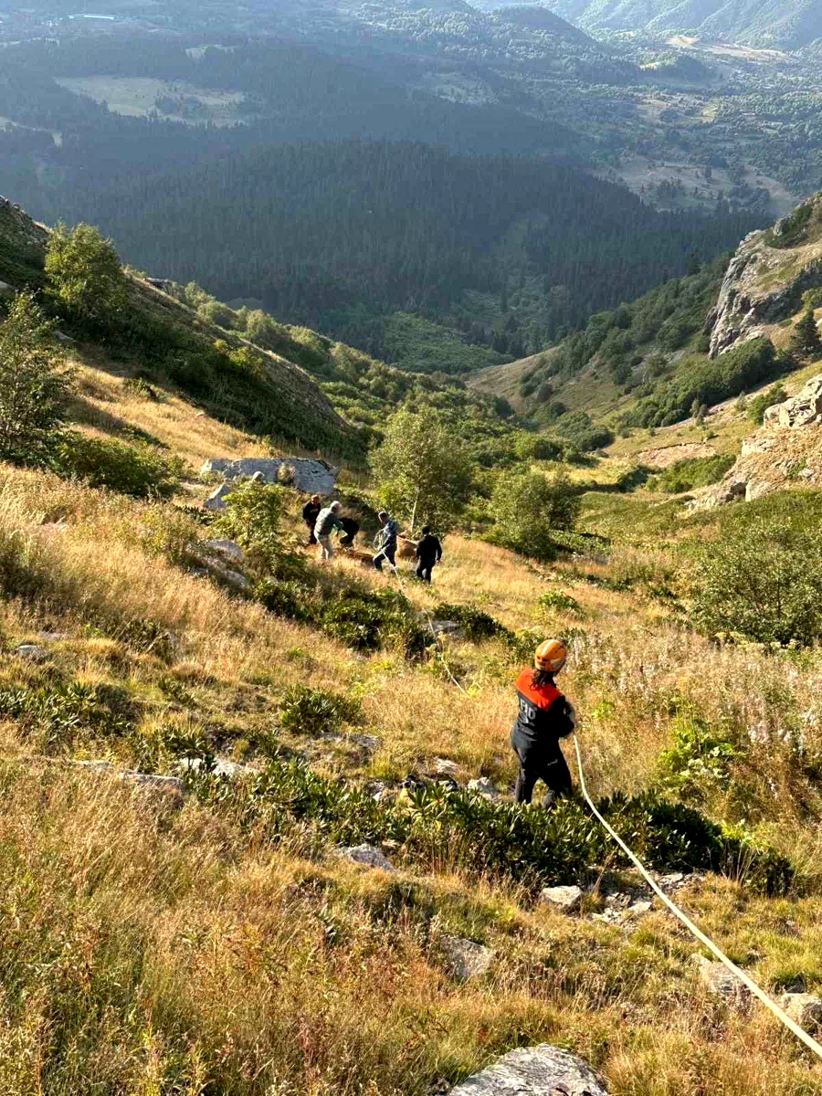 Yamaçtan düşerek mahsur kalan inek AFAD ekiplerince kurtarıldı