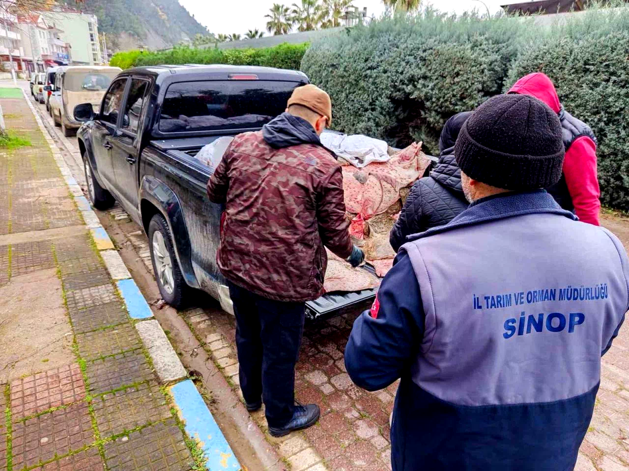 Yasa dışı avlanan kalkanlar, ihtiyaç sahiplerine ücretsiz dağıtıldı
