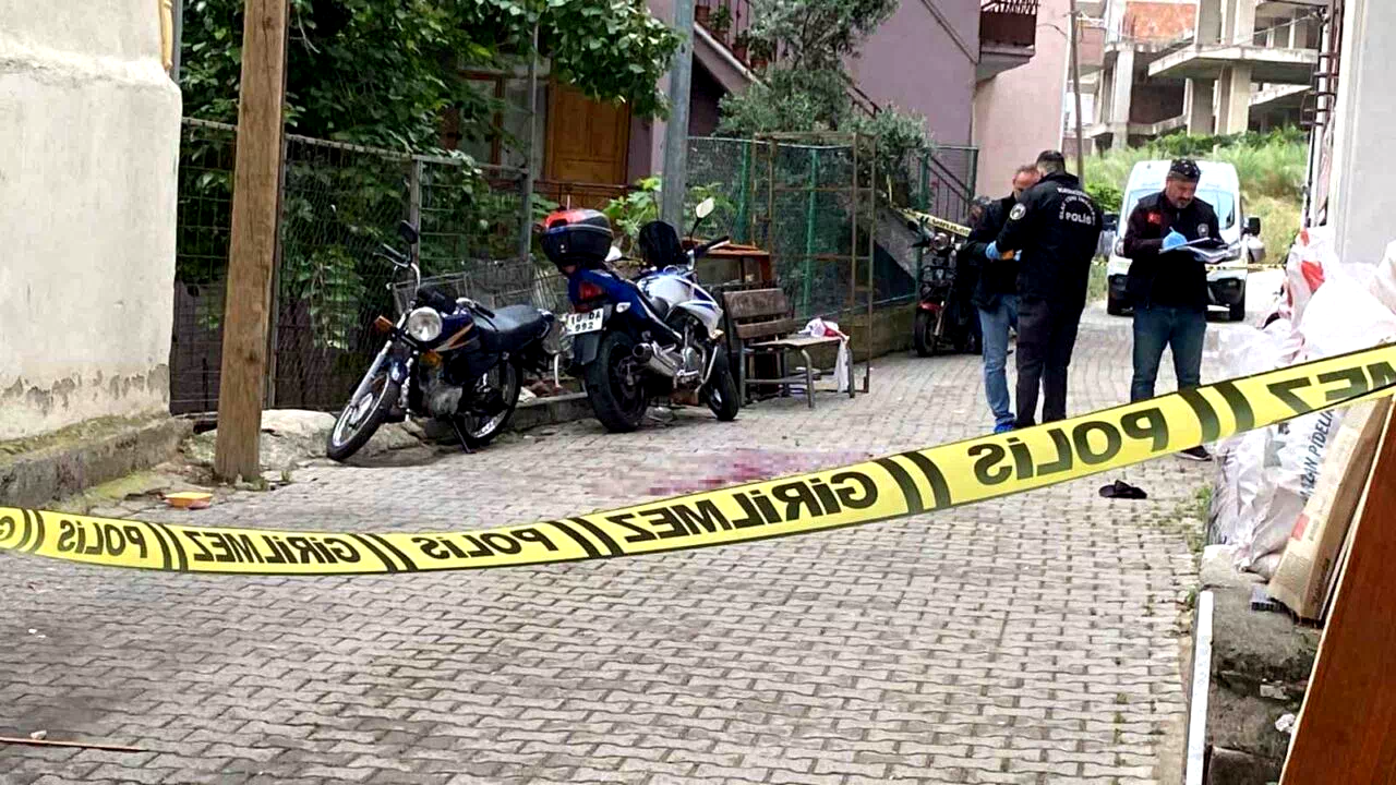 Yer kavgasında abi kardeş arasında kan aktı