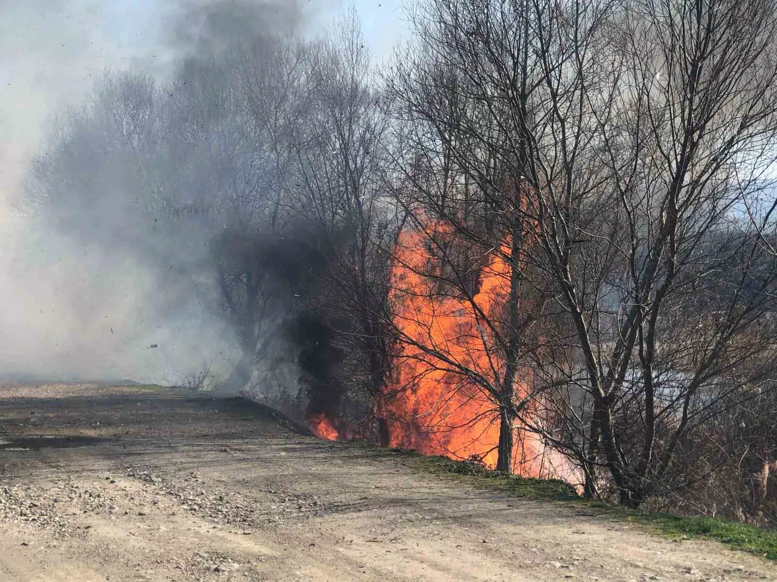 Yeşilırmak Nehri kıyısındaki Taşova sazlık alanında yangın çıktı, itfaiye müdahale etti.