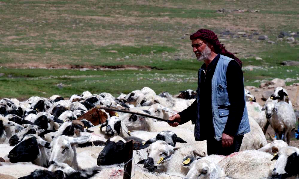 Yetiştiricilere 127,7 milyon TL kredi desteği