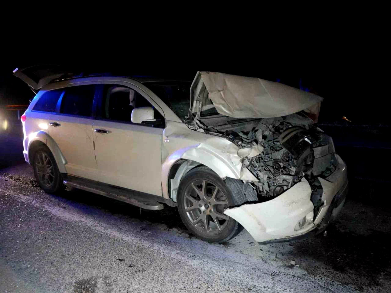 Yola çıkan hayvanlara otobüs ve cip çarptı: 3 inek telef oldu