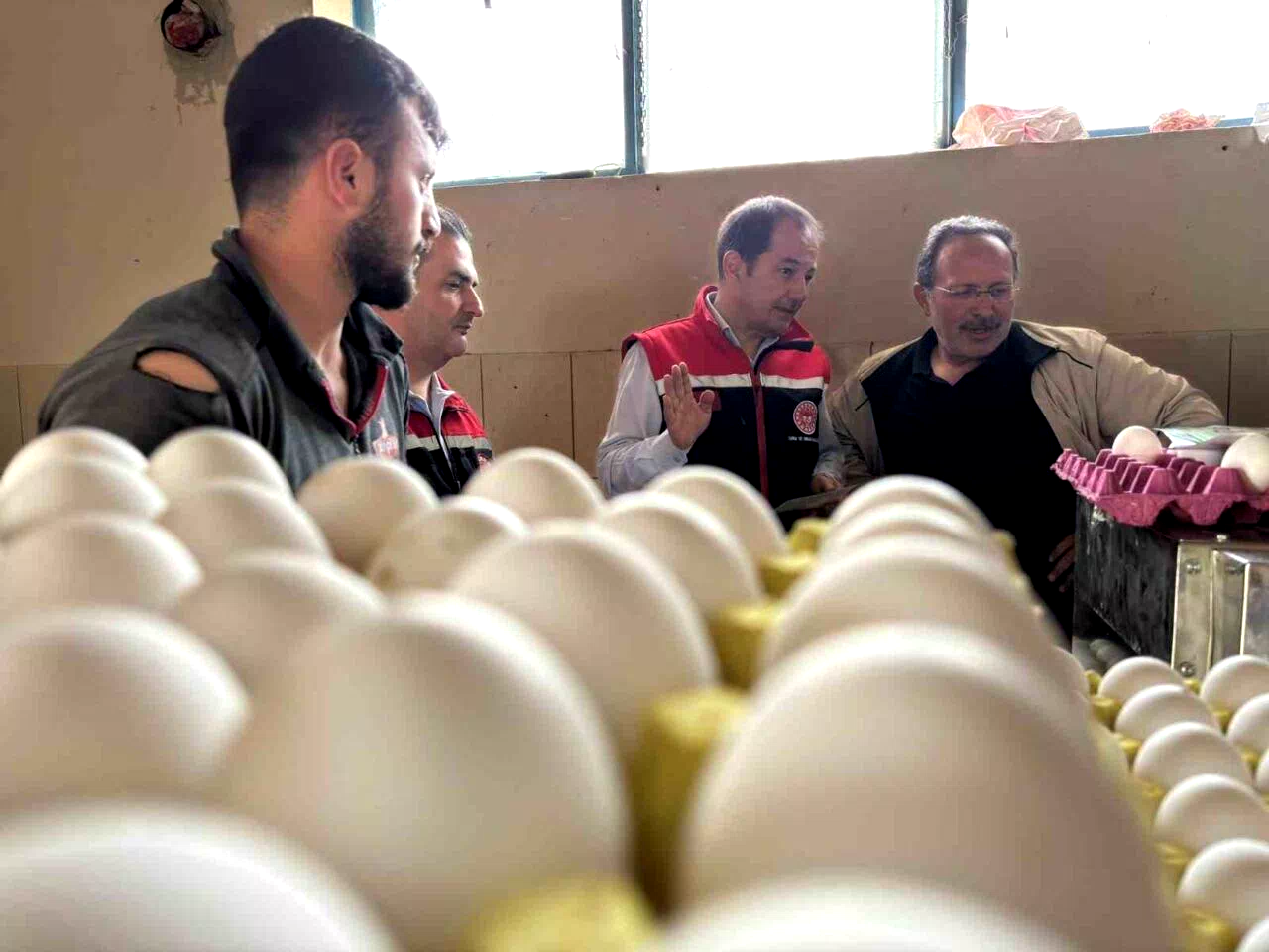 Yumurta tavukçuluğu sektöründe 80 bin adet tavuk bulunan işletmeye ek olarak yeni tesis geliyor