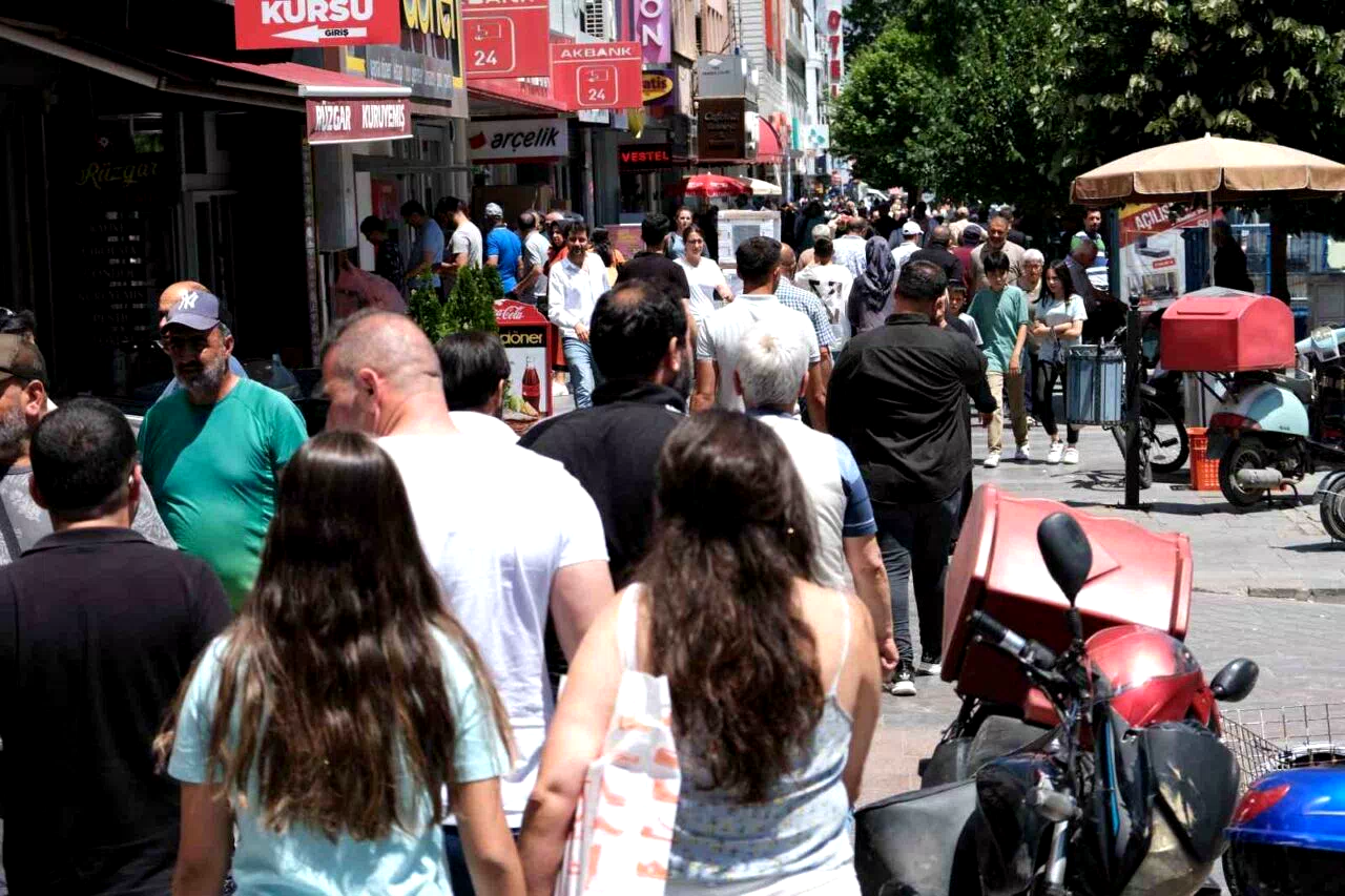 Yurt dışından Erzincan’a 733 kişi göç etti