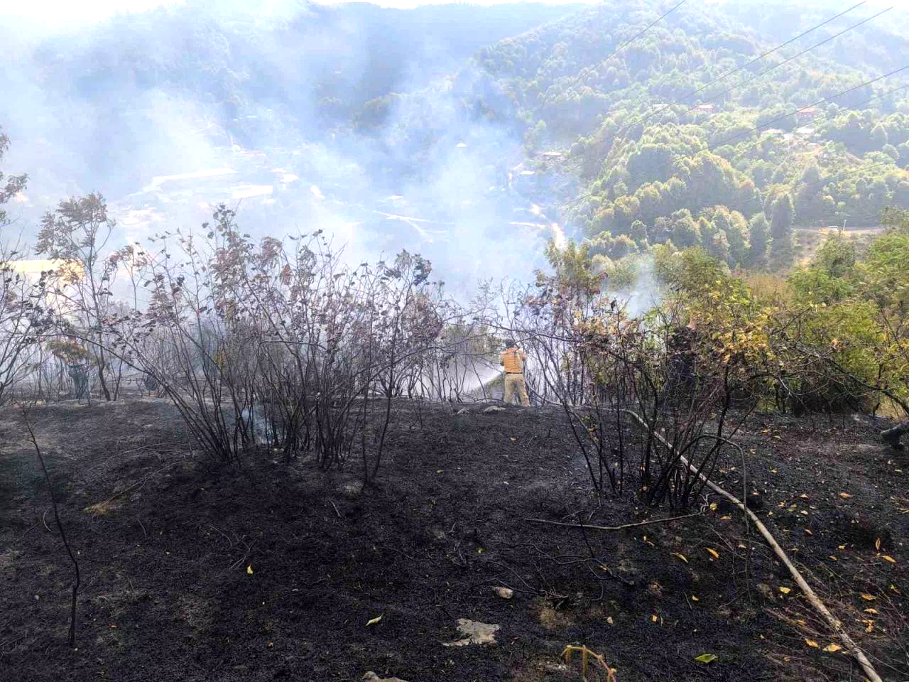 Zonguldak’ta 2 dekarlık alanda örtü yangını