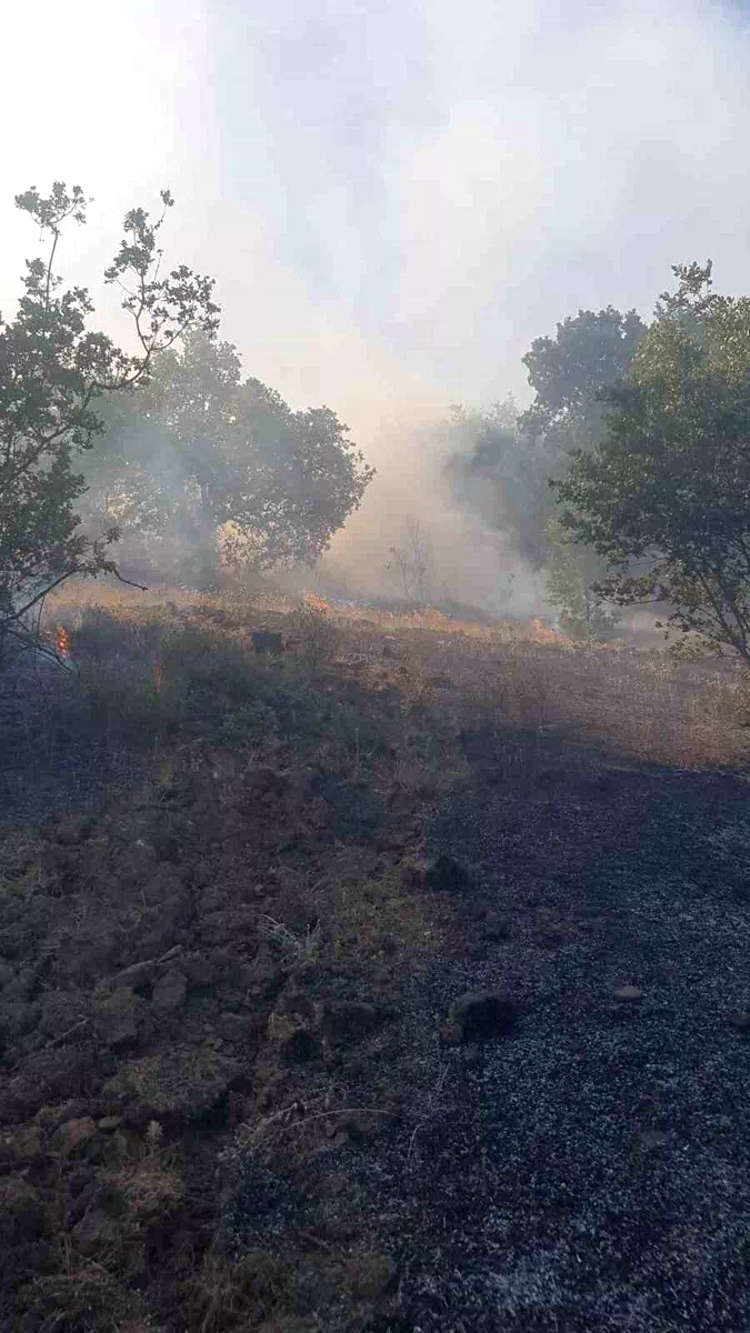 Zonguldak’ta ormanlık alanda çıkan yangına ekipler müdahale etti